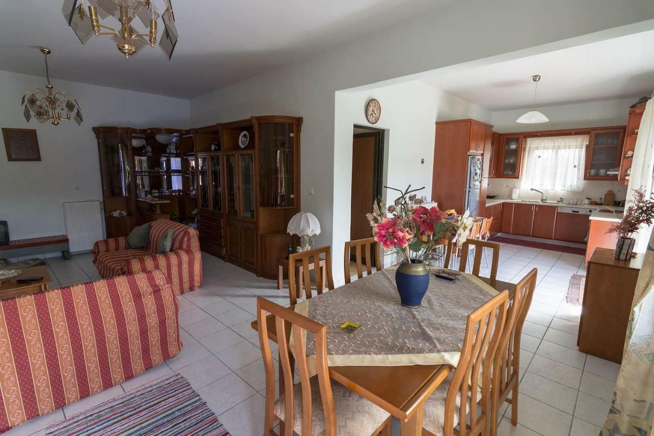 Big Family House In Mesochoria Village Экстерьер фото
