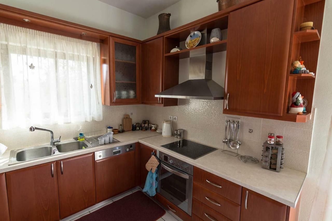 Big Family House In Mesochoria Village Экстерьер фото