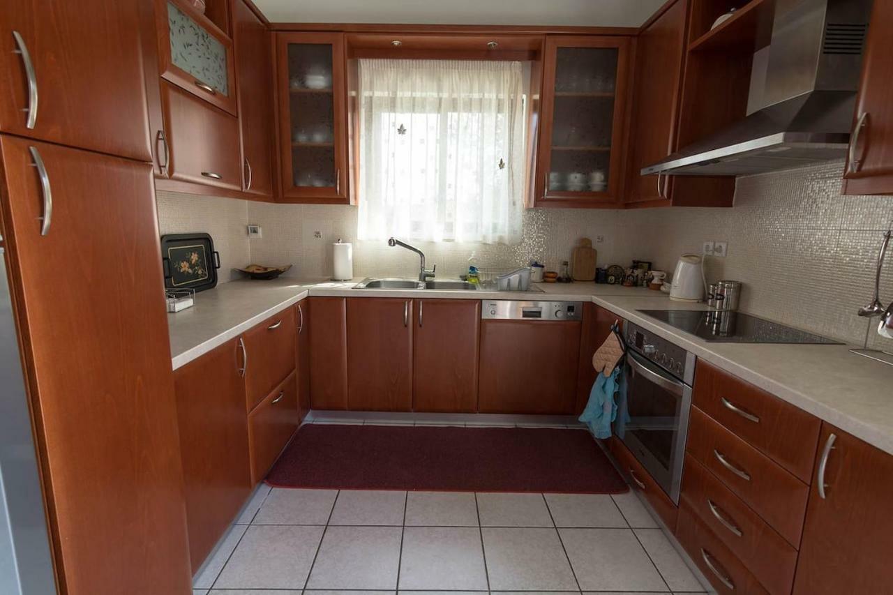 Big Family House In Mesochoria Village Экстерьер фото